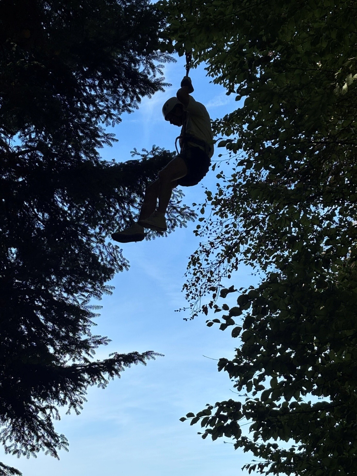 «Ein Schulpsychologe fördert seine Geschicklichkeit im Seilpark.»
